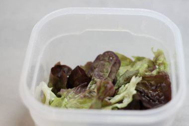 clean lettuce leaves to prepare a salad