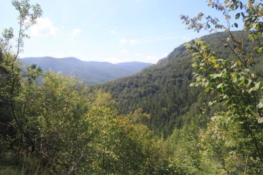 Rural nature landscape of the Basque Country in Gipuzkoa