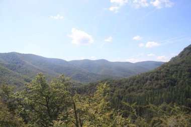 Rural nature landscape of the Basque Country in Gipuzkoa