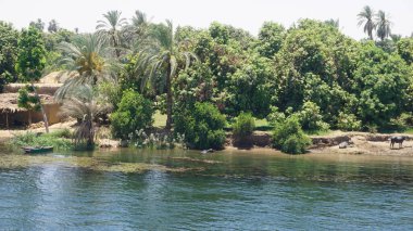 Views of the Nile River between Edfu and Kom Ombo in Egypt