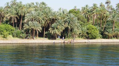 Views of the Nile River between Edfu and Kom Ombo in Egypt