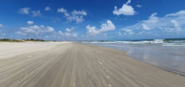 Natal, Rio Grande do Norte 'deki Genipabu plajının manzarası, kumsal parkıyla ünlüdür.