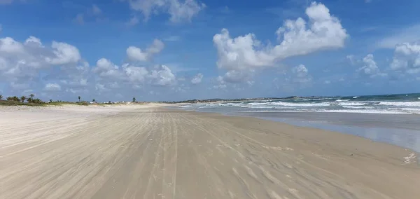 Krajina Pláži Genipabu Natal Rio Grande Norte Známý Pro Své — Stock fotografie
