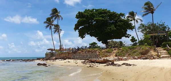 Krajobraz Plaży Genipabu Natal Rio Grande Norte Słynie Wydmy Parku — Zdjęcie stockowe