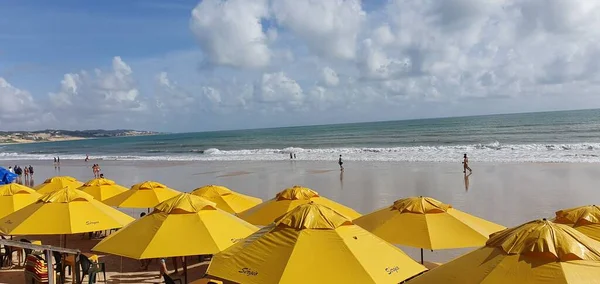 Пунта Негра Натал Риу Гранди Норти Бразилия Марта 2023Ландшафт Пляжа — стоковое фото