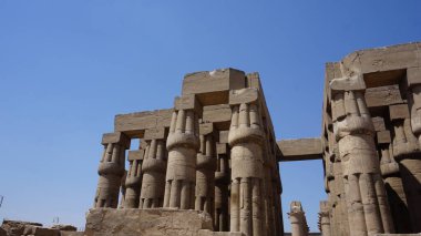 Luxor, Mısır, Temmuz, 12, 2022: Mısır 'da bir Luxor tapınağında arkeolojik dinlenme