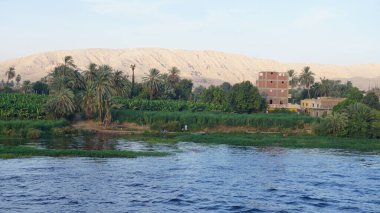 Luxor, Mısır, Temmuz 12, 2022: Luxor yakınlarındaki Nil kıyılarının manzarası