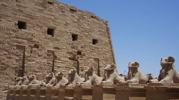 stock image Luxor, Egypt, july, 12, 2022: archeological restor in a Luxor temple in Egypt