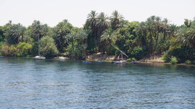 Nil Nehri, Mısır, 13 Temmuz 2022: Edfu ve Kom Ombo arasındaki Nil Nehri manzarası.