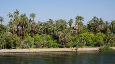 Nil Nehri, Mısır, 13 Temmuz 2022: Edfu ve Kom Ombo arasındaki Nil Nehri manzarası.