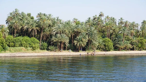 Río Nilo Egipto Julio 2022 Paisaje Del Río Nilo Entre — Foto de Stock