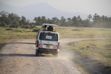 Amboseli, Kenya, 29 Haziran 2019: 4x4 safari Kenya Amboseli Milli Parkı