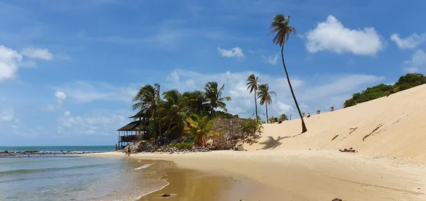 Krajobraz Plaży Genipabu Obok Wydmy Natal Rio Grande Norte Brazylia — Zdjęcie stockowe