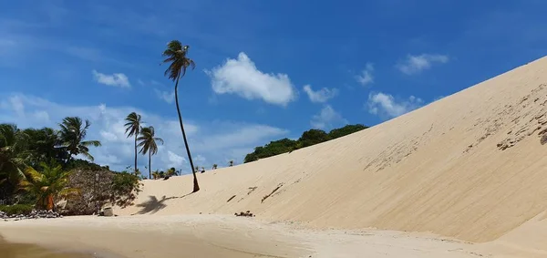 ジュニパブ ナタール グランデ ノルテ ブラジル 2023年3月1日 ブラジル グランデ ノルテ州の砂丘公園の隣にあるジュニパブビーチの風景 — ストック写真