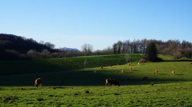 Monte Ernio, Gipuzkoa, İspanya, 3 Ocak 2023: Ernio, Gipuzkoa, İspanya 'da kırsal manzara