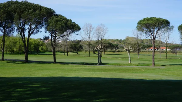 Paesi Baschi Francesi Aquitania Francia Aprile 2023 Paesaggio Campo Golf — Foto Stock
