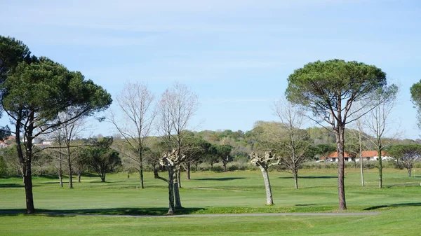 法国巴斯克地区 法国阿基坦 2023年7月7日 阳光明媚的春天早晨 阿基坦高尔夫球场的景观 — 图库照片