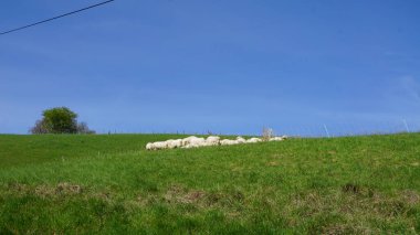 Güney Fransa, Aquitaine 'de kırsal ve dağ manzarası