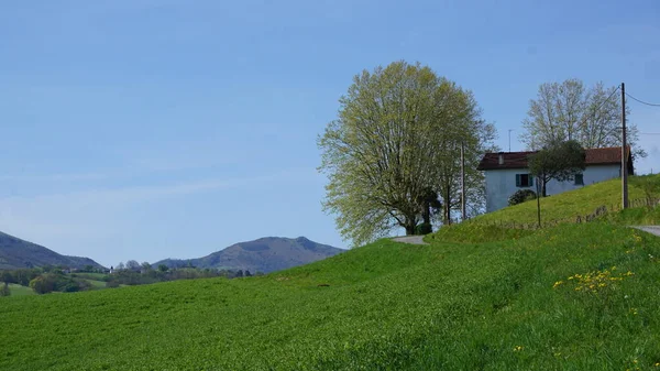 南フランスのアキテーヌにある田舎と山の風景 — ストック写真