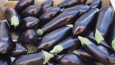 Fransa 'da Cambo les Bains' de bir markette meyve ve sebze