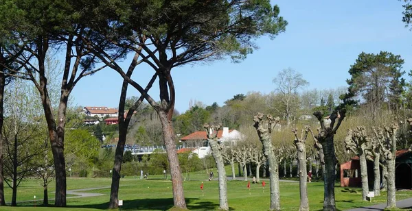 フランス アキテーヌ 2023年4月7日 フランスのアキテーヌでゴルフコースの朝のシーン — ストック写真