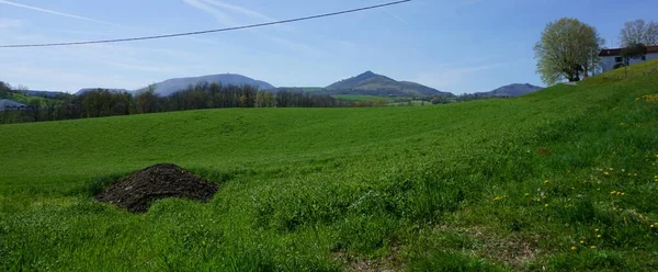 Landelijk Landschap Aquitaine Ten Zuiden Van Frankrijk — Stockfoto