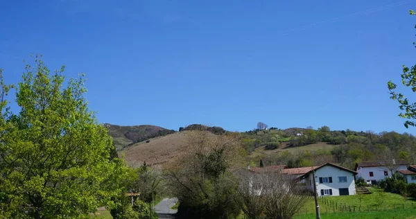 Paesaggio Rurale Natura Nel Sud Della Francia — Foto Stock