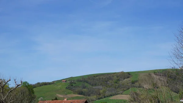 Сельский Пейзаж Природа Юге Франции — стоковое фото