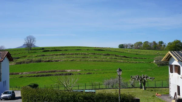 Ainhoa Aquitaine Frankrijk April 2023 Landschap Van Het Dorp Ainhoa — Stockfoto