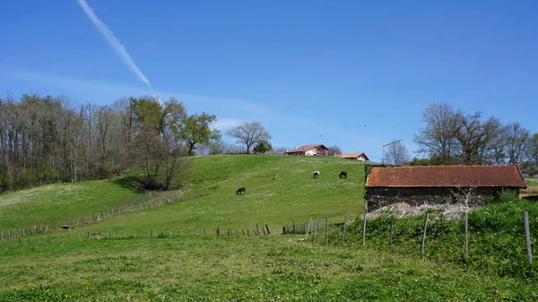 Paesaggio Rurale Montagna Ezpeleta Francia — Foto Stock