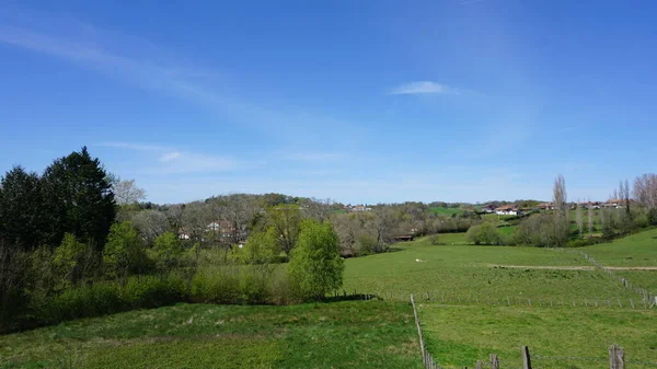 Paisagem Rural Ezpeleta Francia — Fotografia de Stock