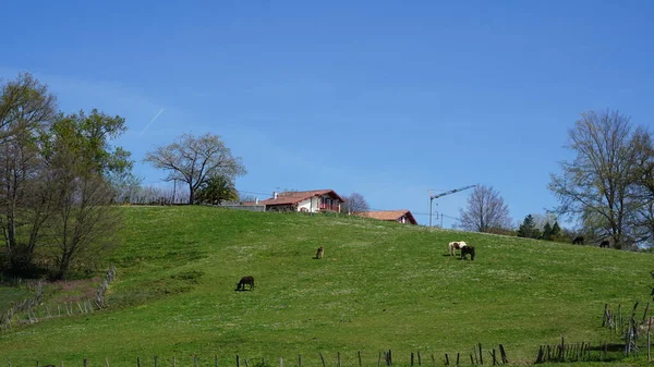 Rural Mountain Landscape Ezpeleta France — Stock Photo, Image
