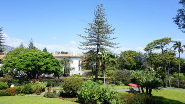 Bir bahar gününde Madeira manzarası