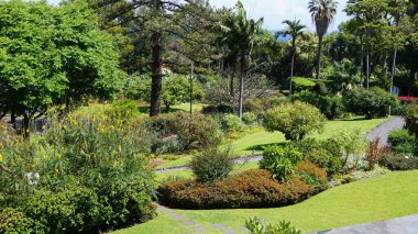 Bir bahar gününde Madeira manzarası