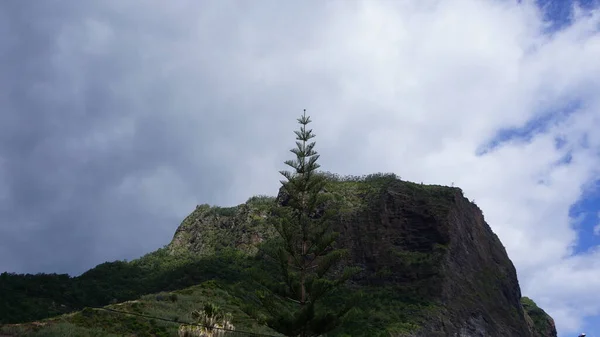 Bir Bahar Gününde Madeira Manzarası — Stok fotoğraf