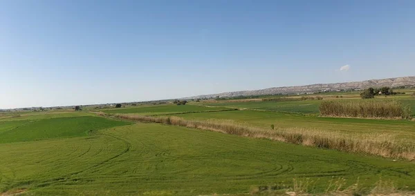Paisajes Agrícolas Aragón Desde Tren Ave — Foto de Stock