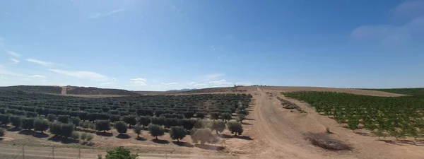 Paisajes Agrícolas Aragón Desde Tren Ave —  Fotos de Stock