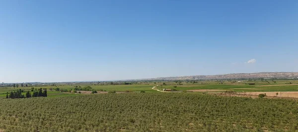 Salillas Jalón Zaradoza España Abril 2023 Paisaje Agrícola Rural Provincia — Foto de Stock