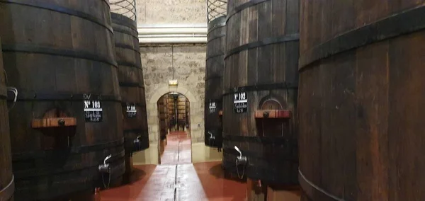 Haro Rioja Espanha Abril 2023 Cativating Views Rioja Wine Cellar — Fotografia de Stock