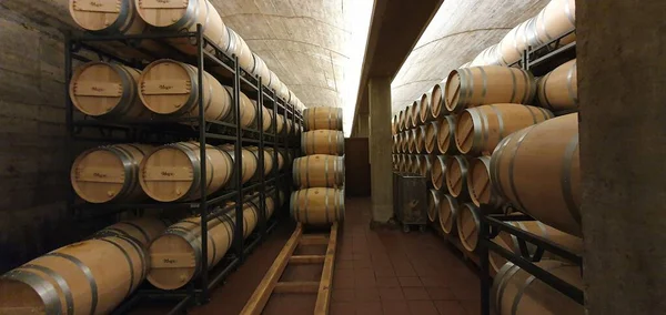 Haro Rioja Spanien April 2023 Faszinierende Ausblicke Auf Den Weinkeller — Stockfoto