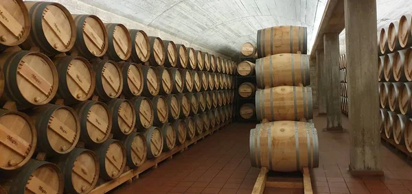 Haro Rioja Spanyol April 2023 Pemandangan Menawan Dari Wine Rioja — Stok Foto