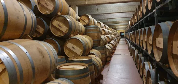 Haro Rioja Spain Квітня 2023 Captivating Views Rioja Wine Cellar — стокове фото