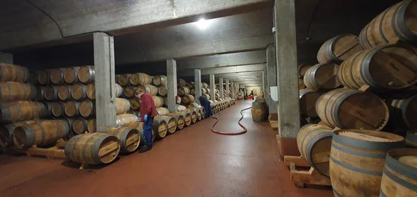 Haro Rioja Hiszpania Kwietnia 2023 Urzekające Widoki Wnętrze Piwniczki Wina — Zdjęcie stockowe