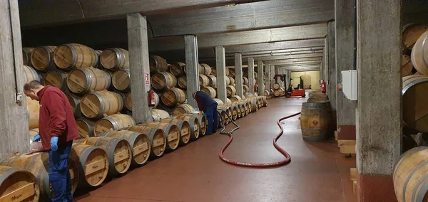 Haro Rioja Hiszpania Kwietnia 2023 Urzekające Widoki Wnętrze Piwniczki Wina — Zdjęcie stockowe
