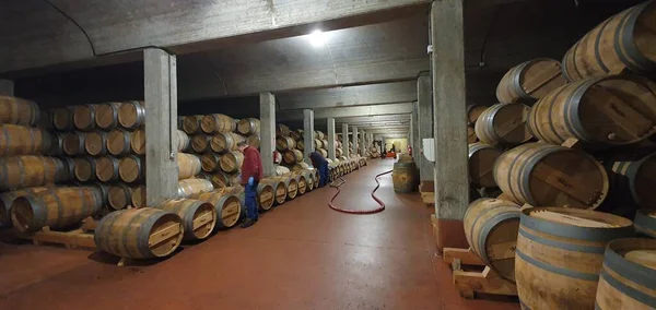Haro Rioja Spanya Nisan 2023 Rioja Şarap Mahzeninin Büyüleyici Görüntüleri — Stok fotoğraf