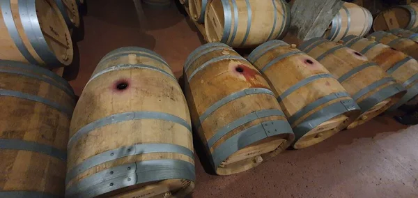 Haro Rioja Spanien April 2023 Fängslande Utsikt Över Riojas Vinkällare — Stockfoto