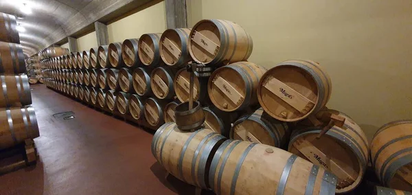 Haro Rioja Spanyol April 2023 Pemandangan Menawan Dari Wine Rioja — Stok Foto