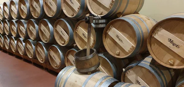 Haro Rioja Spanya Nisan 2023 Rioja Şarap Mahzeninin Büyüleyici Görüntüleri — Stok fotoğraf