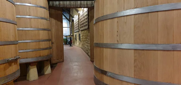 Haro Rioja Spain April 2023 Captivating Views Rioja Winine Cellar — стоковое фото