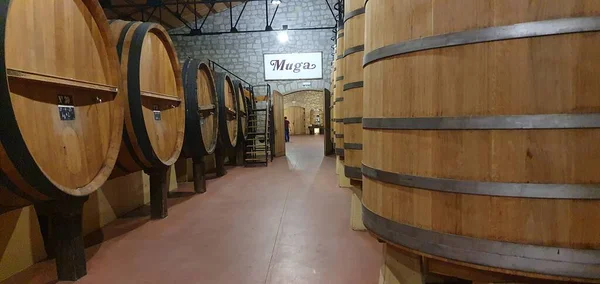 Haro Rioja Ισπανία Απριλίου 2023 Απεικονιστικές Απόψεις Του Εσωτερικού Του — Φωτογραφία Αρχείου